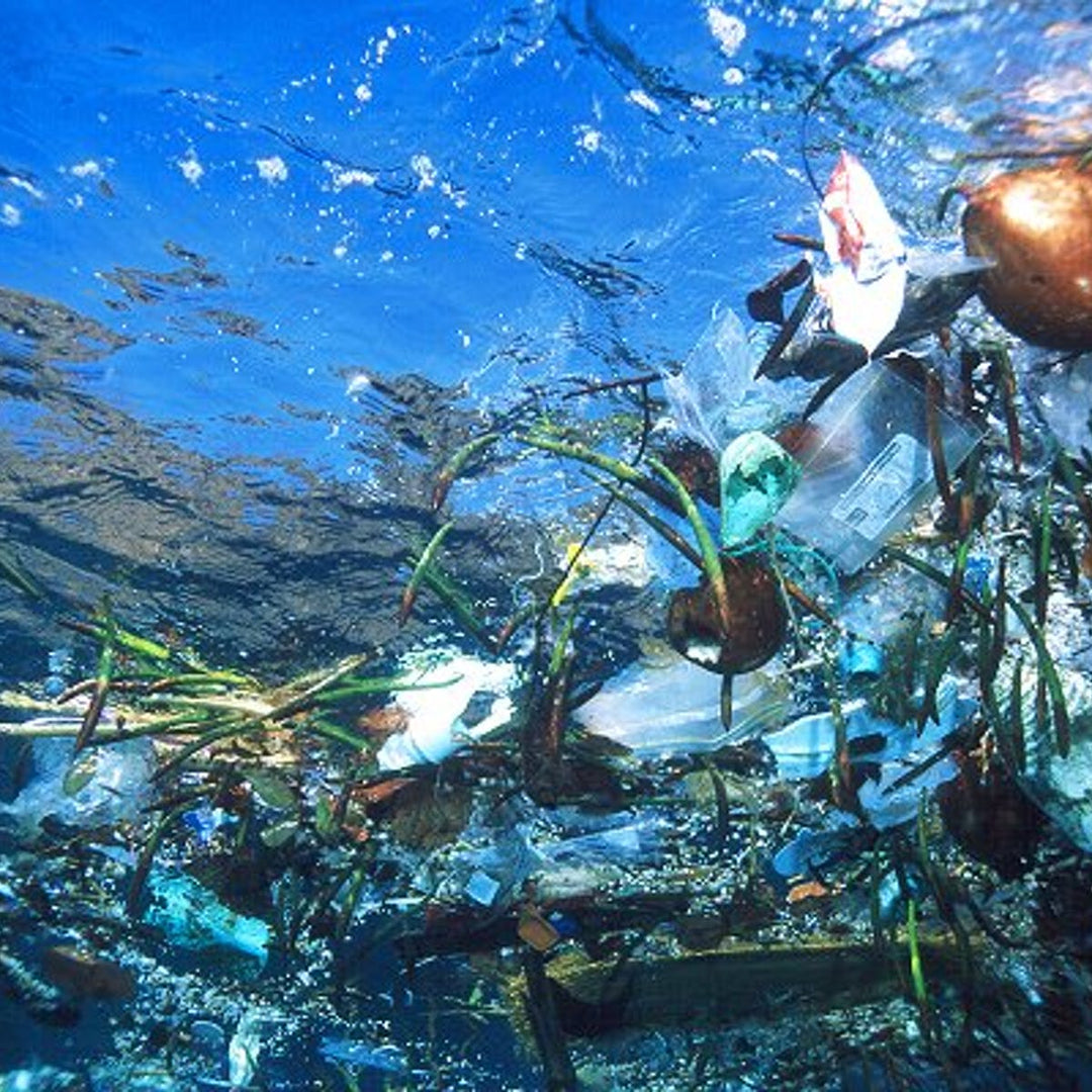 Our Oceans
